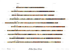 Timeline
